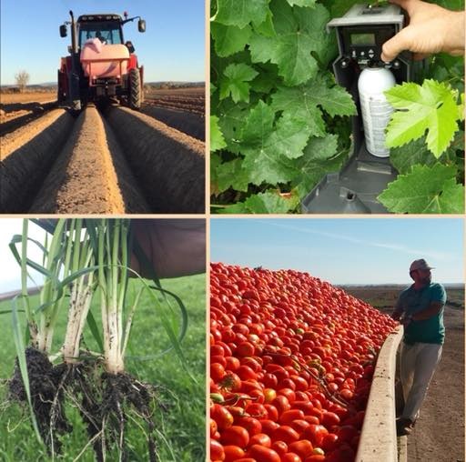 Incorporación de herramientas de agricultura 4.0 y modernización de explotaciones agrícolas